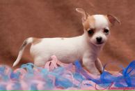 Фотография Морозовой Дарьи