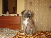 Наталія Будiй фотография #30 (источник - https://vk.com/id36086899)