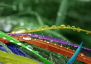 Фотография Долгополовой Юли