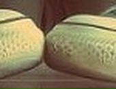 Еліна Руденко фотография #34 (источник - https://vk.com/id40033744)