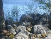 Фотография Храпова Александра