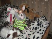 Фотография Лагуновой Виктории