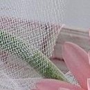 Ірина Кукурудза фотография #45 (источник - https://vk.com/id22514152)