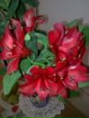 Наталія Олеськів фотография #23 (источник - https://vk.com/id138007879)