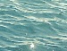 Люда Ліщук фотография #12 (источник - https://vk.com/id138703586)