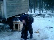 Фотография Кончакова Александра