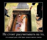 Іван Мрочко фотография #35 (источник - https://vk.com/id76802298)