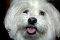 Фотография Перминова Сергея