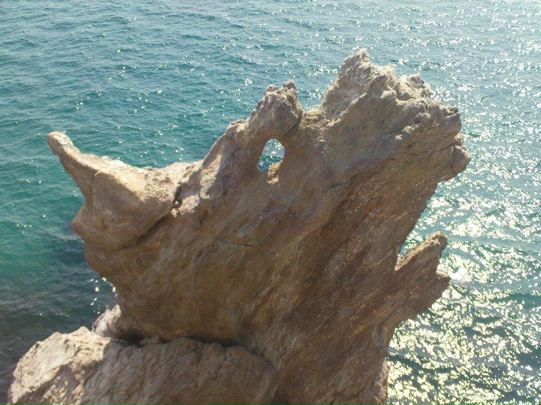 Макс Лунин фотография #8