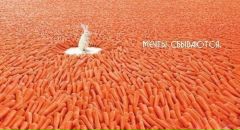 Ольга Епифанова фотография #19 (источник - https://vk.com/id235570)