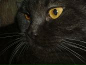 Фотография Добрякова Илии