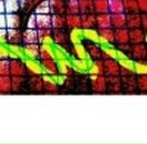 Ярина Русін фотография #40 (источник - https://vk.com/id31539795)