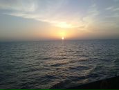 Фотография Петрова Кирилла