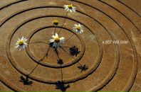 Alex Perec фотография #4 (источник - https://vk.com/id539403)