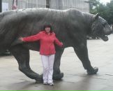 Фотография Эльбек Марины