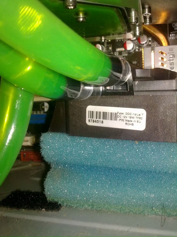 Дмитрий Игнатенко фотография #18