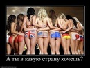 Алексей Девятых ❷❷❽ фотография #3 (источник - https://vk.com/id139163076)