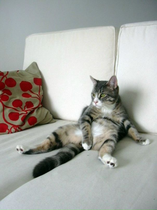 Илья Аваряскин фотография #3