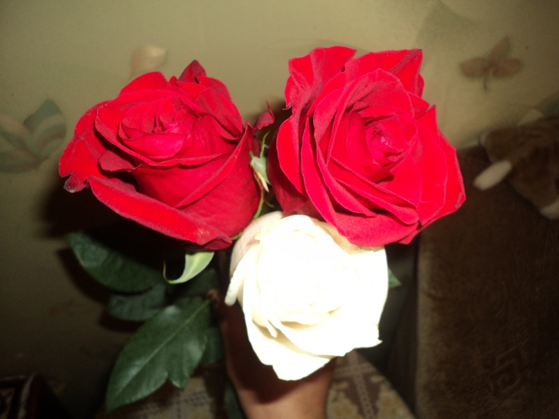 Зейнал Бахшалиев фотография #13