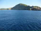 Juan Cruz фотография #31 (источник - https://vk.com/id141836103)