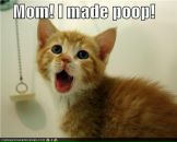 Перси Перс фотография #41 (источник - https://vk.com/id5479147)