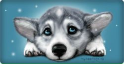 Фотография Алабугин Дмитрий