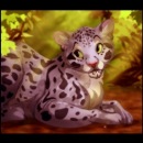 Марія Токарська фотография #12 (источник - https://vk.com/id41229922)