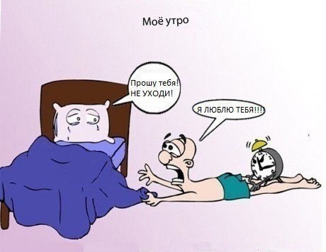 №15, Мила Вишева №15, Мила Вишева