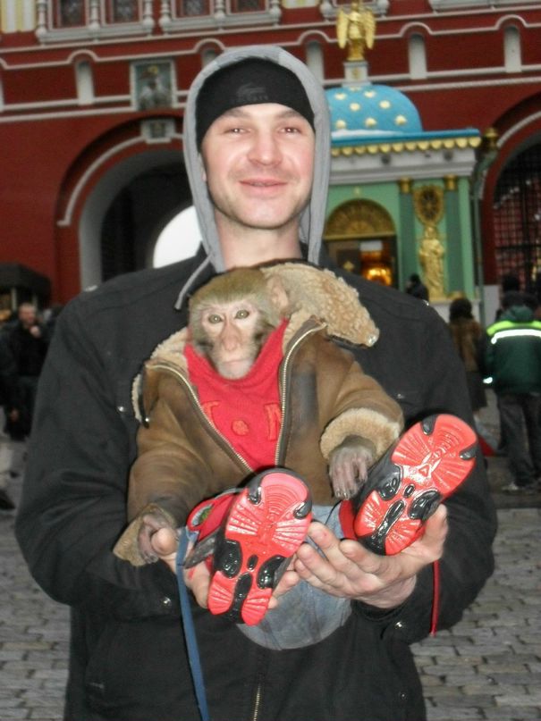 Дмитрий Пушок фотография #25