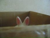 Фотография Yesh Kate