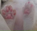 Фотография Павловой Ольги