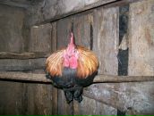 Фотография Плотаревой Олеси