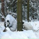 Фотография Рогожина Дениса