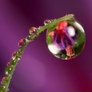 Фотография Алиевой Милы