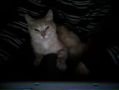 Фотография Петрова Дмитрия