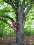 varya :) фотография #19 (источник - https://vk.com/id1183245)