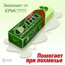 Людміла Іванівна фотография #40 (источник - https://vk.com/id19321671)