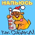 Анжеліка Волошина фотография #33 (источник - https://vk.com/id15349581)