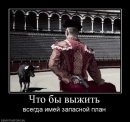Катіріна Шарапова фотография #33 (источник - https://vk.com/id6870257)