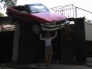 Фотография Витязь Натальи