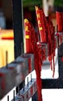 Даниэль Булыгин фотография #13 (источник - https://vk.com/id2586649)