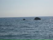 Фотография Тихоненко Валентины