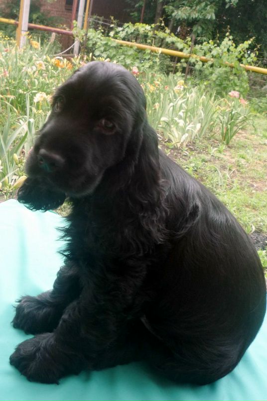 Наталья Попова фотография #21