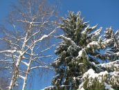 Фотография Греховодовой Елены