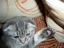 Шевчук Сергій фотография #29 (источник - https://vk.com/id20495548)