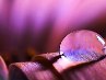 Іринка Пишева фотография #10 (источник - https://vk.com/id122367539)