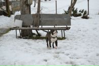 Фотография Волкова Александра