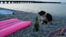 Фотография Годовой-Бессоновой Татьяны