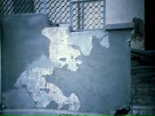 Фотография Быкова Дениса