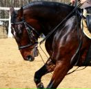 Фотография Городецкой Юлии